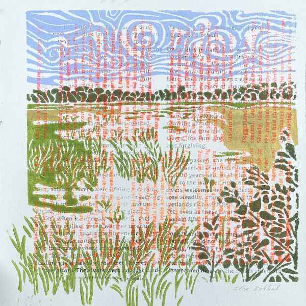 River AiM book collection 41